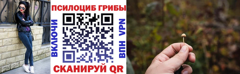 Псилоцибиновые грибы Psilocybine cubensis Сусуман